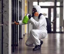 Best Mold Odor Removal Services  in Mccoll, SC